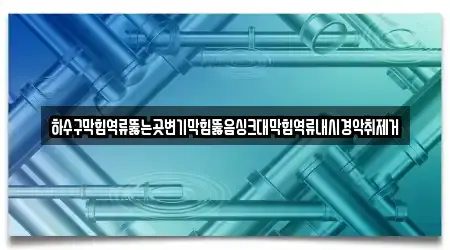 하수구막힘역류뚫는곳변기막힘뚫음싱크대막힘역류내시경악취제거