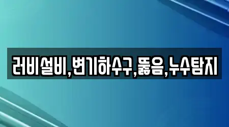 러비설비,변기하수구,뚫음,누수탐지