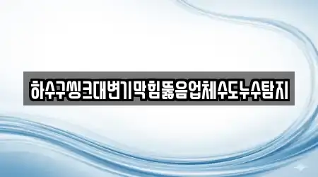 하수구씽크대변기막힘뚫음업체수도누수탐지