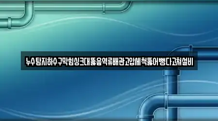 누수탐지하수구막힘싱크대뚫음역류배관고압세척뚫어뻥다고쳐설비