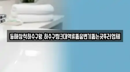동해삼척하수구왕 하수구씽크대역류뚫음변기뚫는곳뚜러업체
