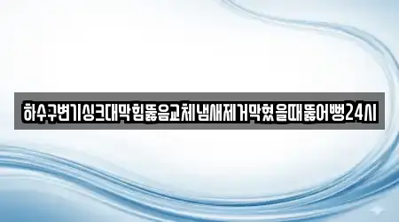 하수구변기싱크대막힘뚫음교체냄새제거막혔을때뚫어뻥24시