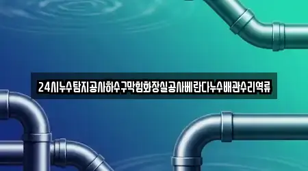 24시누수탐지공사하수구막힘화장실공사베란다누수배관수리역류