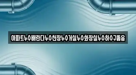 아파트누수배란다누수천장누수거실누수화장실누수하수구뚫음