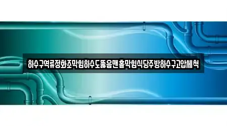 서울 도렴동 5 하수구 역류 근처 위치