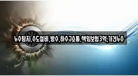 누수탐지,수도설비,방수,하수구소통,책임보험3억,가건누수