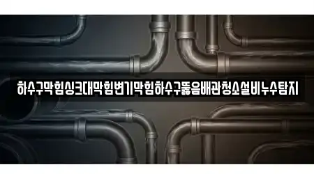 하수구막힘싱크대막힘변기막힘하수구뚫음배관청소설비누수탐지