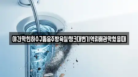 야간막힌하수구뚫음주방욕실씽크대변기역류배관막혔을때