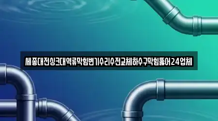 세종대전싱크대역류막힘변기수리수전교체하수구막힘뚫어24업체