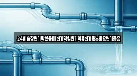 24시출장변기막혔을때변기막힘변기역류변기뚫는비용변기뚫음