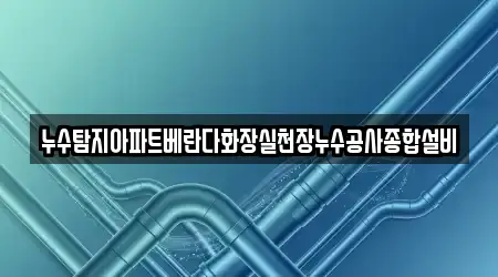 송파구 신천동 숨은 누수탐지 20곳 찾기 송파구 신천동 숨은 누수탐지 20곳 찾기
