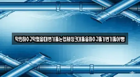 막힌하수구막혔을때변기뚫는업체싱크대뚫음하수구뚫기변기뚫어뻥