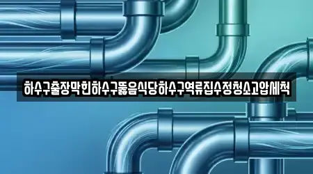 하수구출장막힌하수구뚫음식당하수구역류집수정청소고압세척