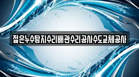 젊은누수탐지수리배관수리공사수도교체공사