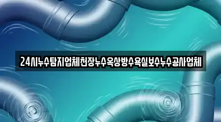 24시누수탐지업체천장누수옥상방수욕실보수누수공사업체