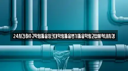 24시간하수구막힘뚫음싱크대막힘뚫음변기뚫음막힘고압세척내시경