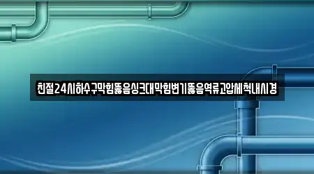 친절24시하수구막힘뚫음싱크대막힘변기뚫음역류고압세척내시경