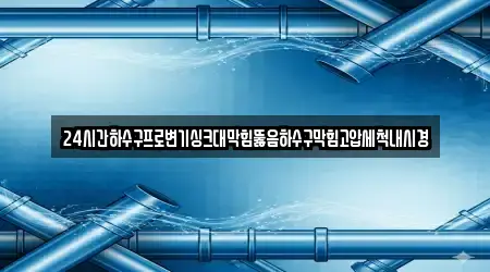 24시간하수구프로변기싱크대막힘뚫음하수구막힘고압세척내시경