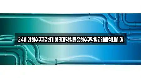 24시간하수구프로변기싱크대막힘뚫음하수구막힘고압세척내시경