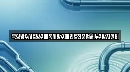 옥상방수시트방수에폭시방수페인트전문업체누수탐지설비