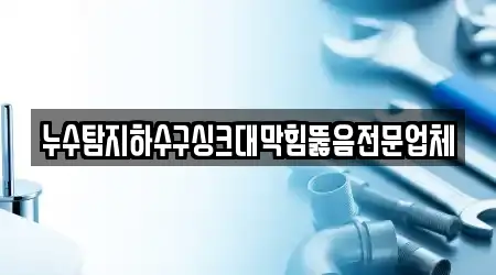 누수탐지하수구싱크대막힘뚫음전문업체