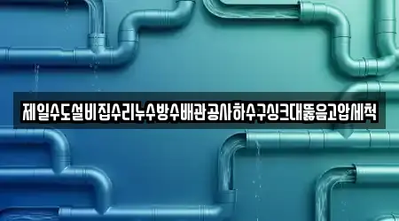 전주시 덕진구 성덕동 싱크대뚫음,변기뚫음,하수구뚫음,누수,하수구막힘 도보권 14곳