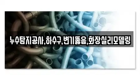 누수탐지공사,하수구,변기뚫음,화장실리모델링