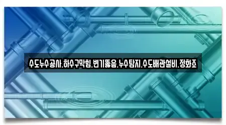 누수 탐지 5개 업체 전주시 완산구 남노송동 위치