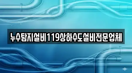 누수탐지설비119상하수도설비전문업체