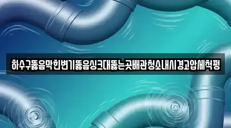 하수구뚫음막힌변기뚫음싱크대뚫는곳배관청소내시경고압세척펑