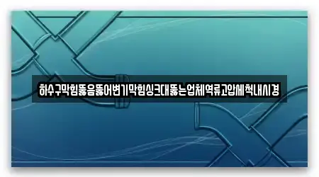 하수구막힘뚫음뚫어변기막힘싱크대뚫는업체역류고압세척내시경