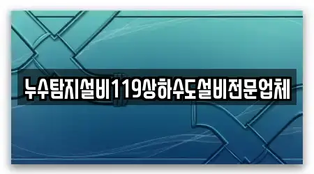 누수탐지설비119상하수도설비전문업체