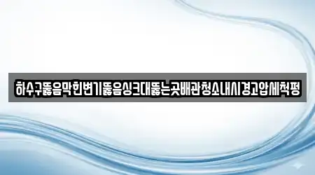 하수구뚫음막힌변기뚫음싱크대뚫는곳배관청소내시경고압세척펑