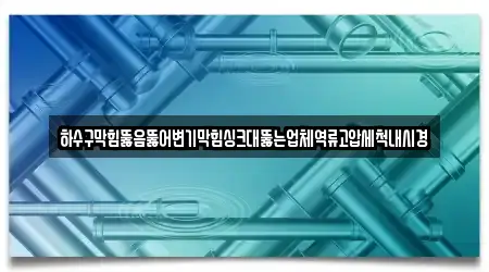 하수구막힘뚫음뚫어변기막힘싱크대뚫는업체역류고압세척내시경