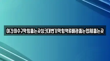 야간하수구막힘뚫는곳싱크대변기막힘역류배관뚫는업체뚫는곳