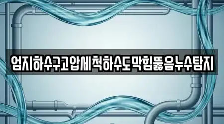 엄지하수구고압세척하수도막힘뚫음누수탐지