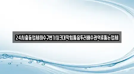 24시출동업체하수구변기싱크대막힘뚫음뚜러배수관역류뚫는업체