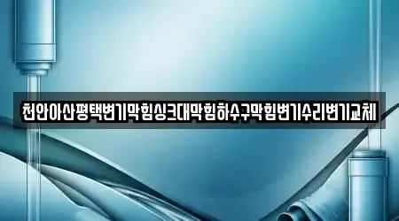 천안아산평택변기막힘싱크대막힘하수구막힘변기수리변기교체
