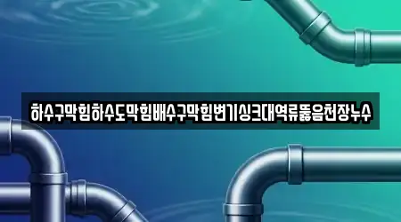 하수구막힘하수도막힘배수구막힘변기싱크대역류뚫음천장누수