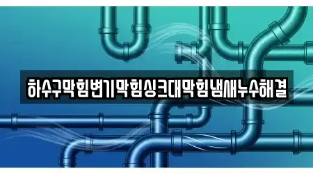 하수구막힘변기막힘싱크대막힘냄새누수해결