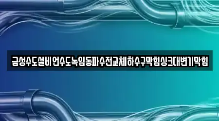 금성수도설비언수도녹임동파수전교체하수구막힘싱크대변기막힘