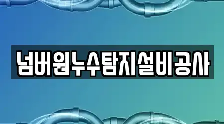넘버원누수탐지설비공사