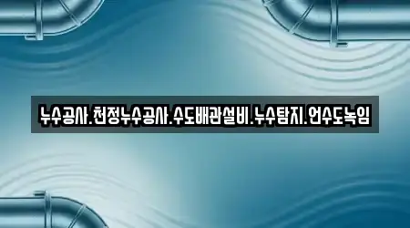 누수공사.천정누수공사.수도배관설비.누수탐지.언수도녹임