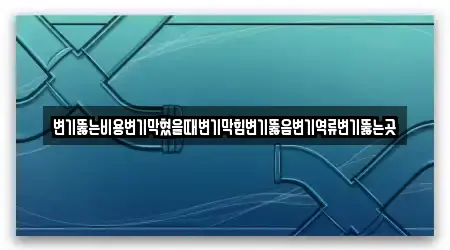 변기뚫는비용변기막혔을때변기막힘변기뚫음변기역류변기뚫는곳