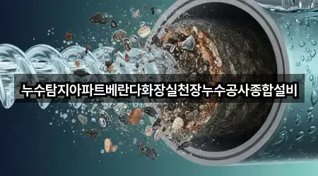 서울 성동구 금호동2가 누수 탐지 인증 업체 5곳
