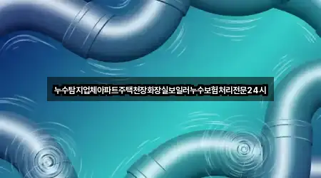 누수탐지업체아파트주택천장화장실보일러누수보험처리전문24시