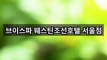 브이스파 웨스틴조선호텔 서울점