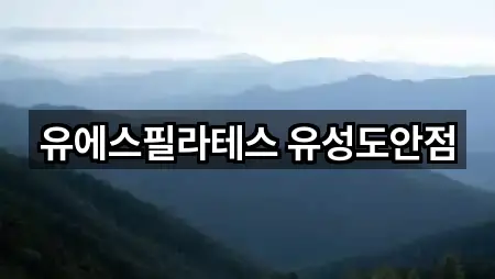 유에스필라테스 유성도안점