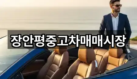 장안평중고차매매시장