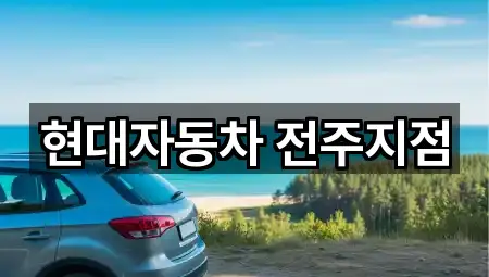 전북 전주 완산구 동완산동 자동차전시장 인기 순위 1곳